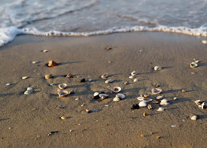 Cozy Flat In A With 3 Pools Bibione